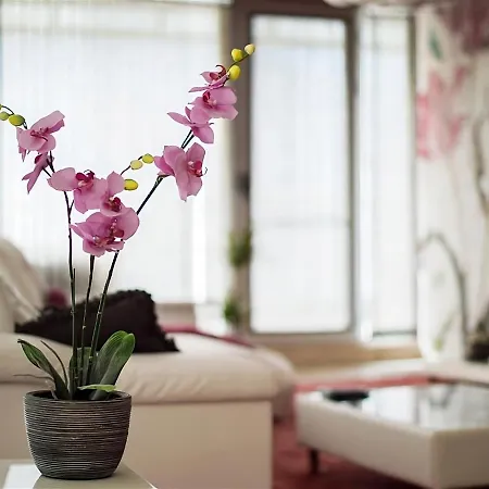 Apartament Luxury Burgas