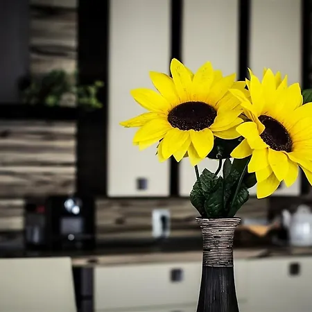 布尔加斯豪华公寓