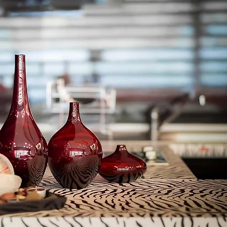 布尔加斯豪华公寓 公寓